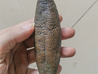 魷魚海參脫皮去皮—酶制劑解決方案